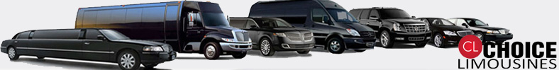The Woodlands Affordable Limo, The Woodlands Preferred Party Buses